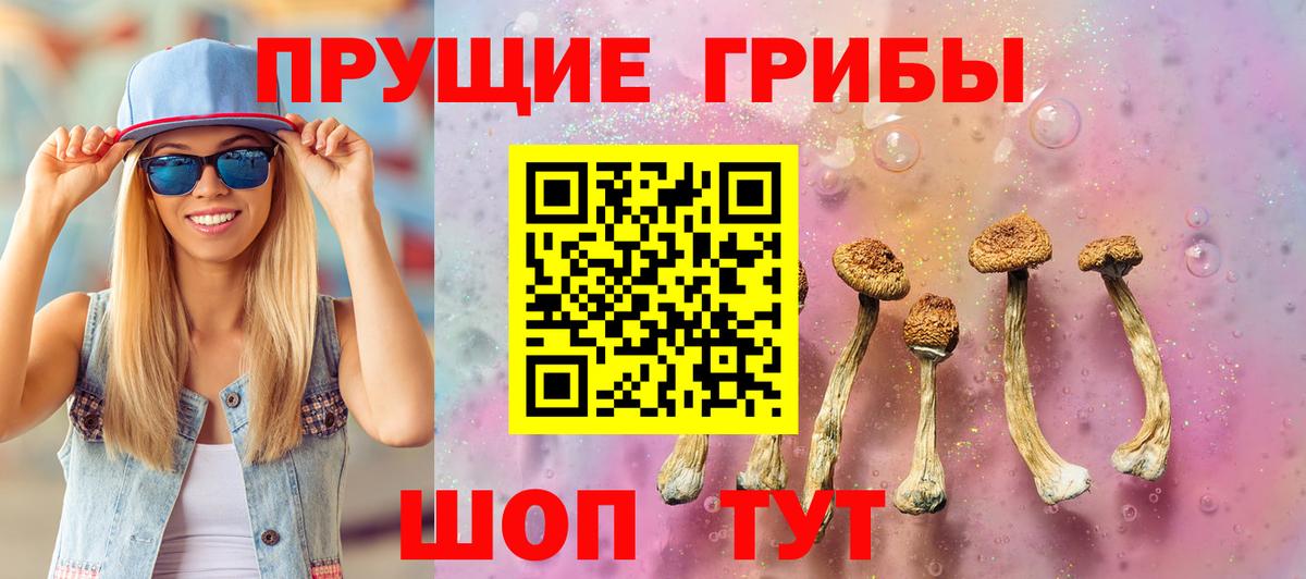 Псилоцибиновые грибы ЛСД Выборг